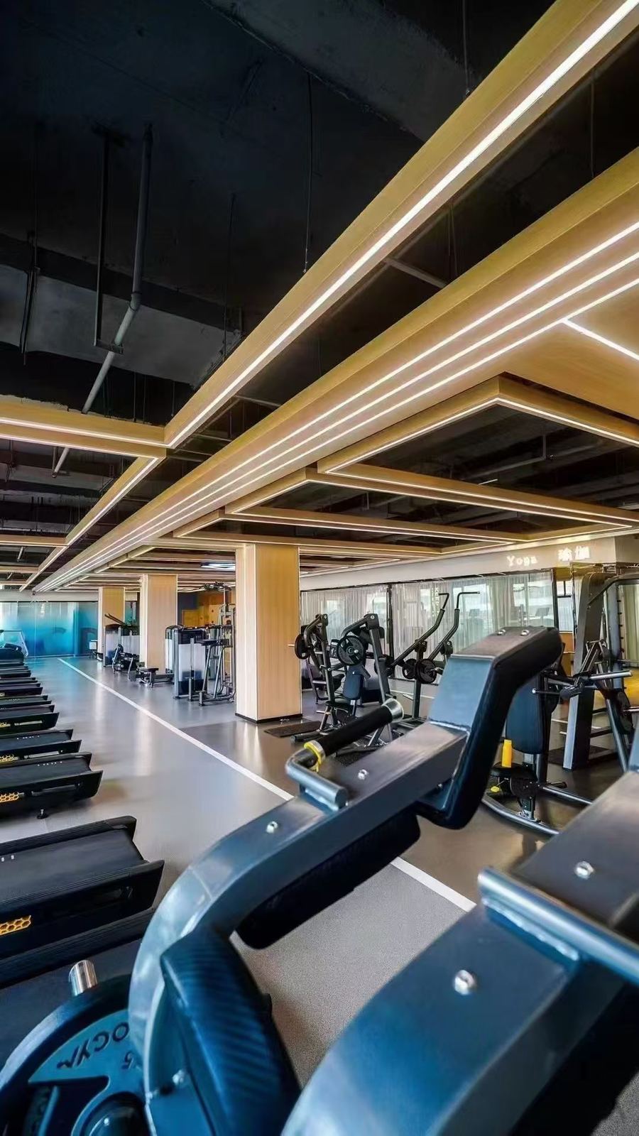 Commercial Treadmill